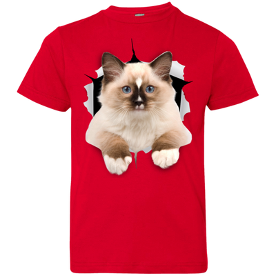 Brown Ragdoll Youth Jersey T-Shirt