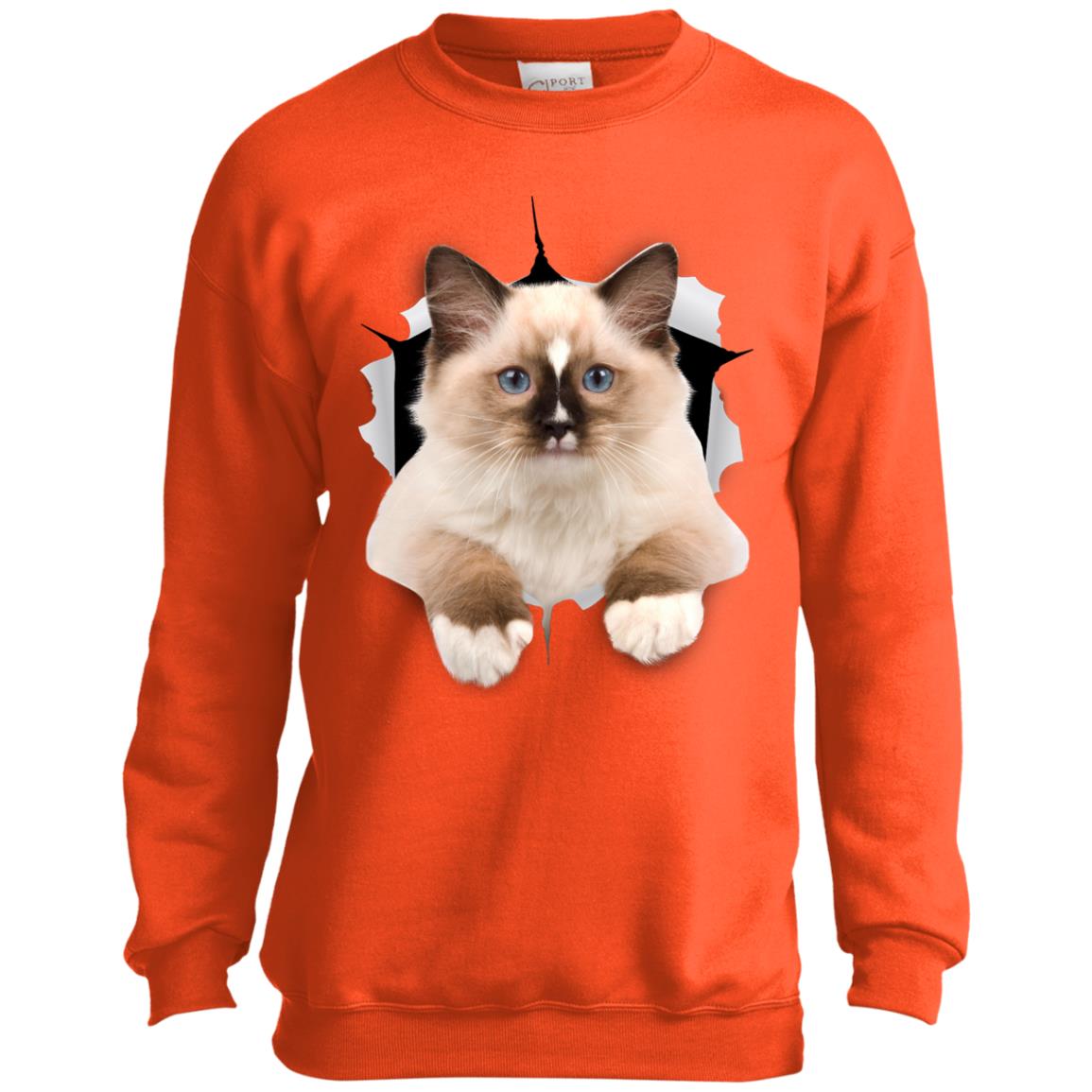 Brown Ragdoll Cat Youth Crewneck Sweatshirt