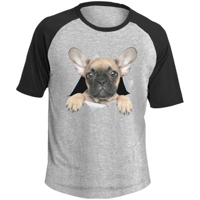 French Bulldog Pup Colorblock Raglan Jersey T-Shirt