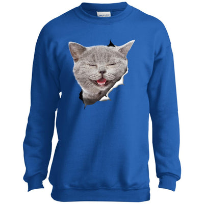 Grey Cat Laughing Youth Crewneck Sweatshirt