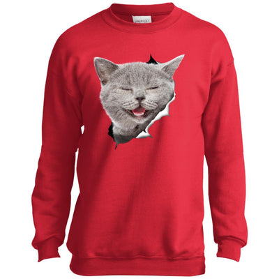 Grey Cat Laughing Youth Crewneck Sweatshirt