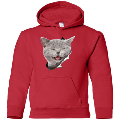 Grey Cat Laughing Youth Pullover Hoodie