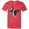 Black & White Frenchie Men's Printed V-Neck T-Shirt
