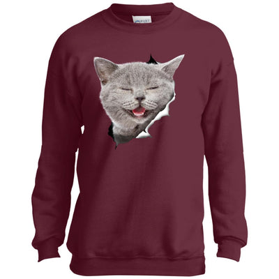 Grey Cat Laughing Youth Crewneck Sweatshirt