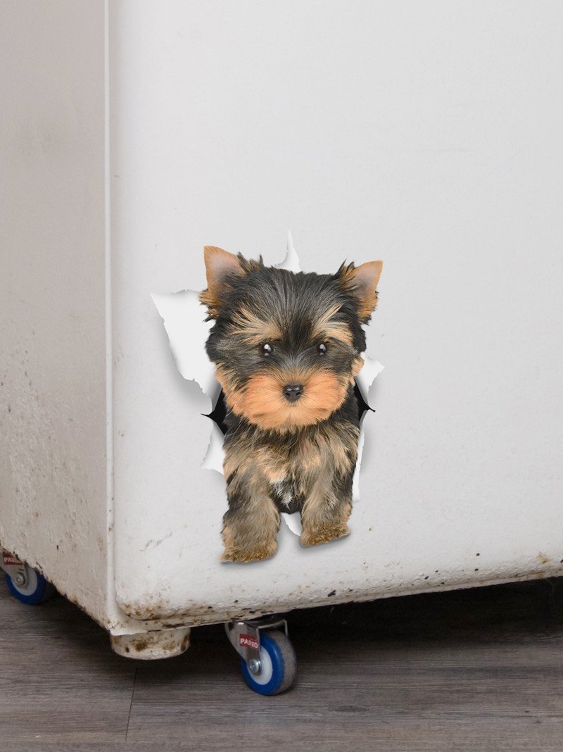 Adorable Yorkie Decals - Yorkshire Terrier