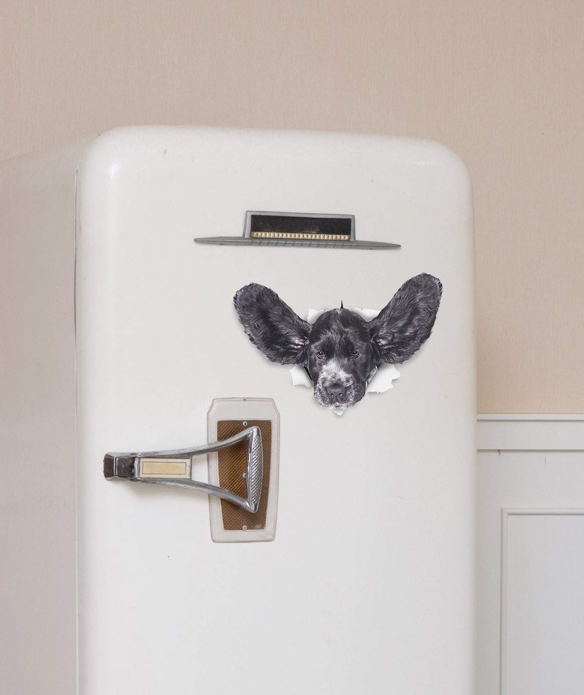 Funny Cocker Spaniel Decals