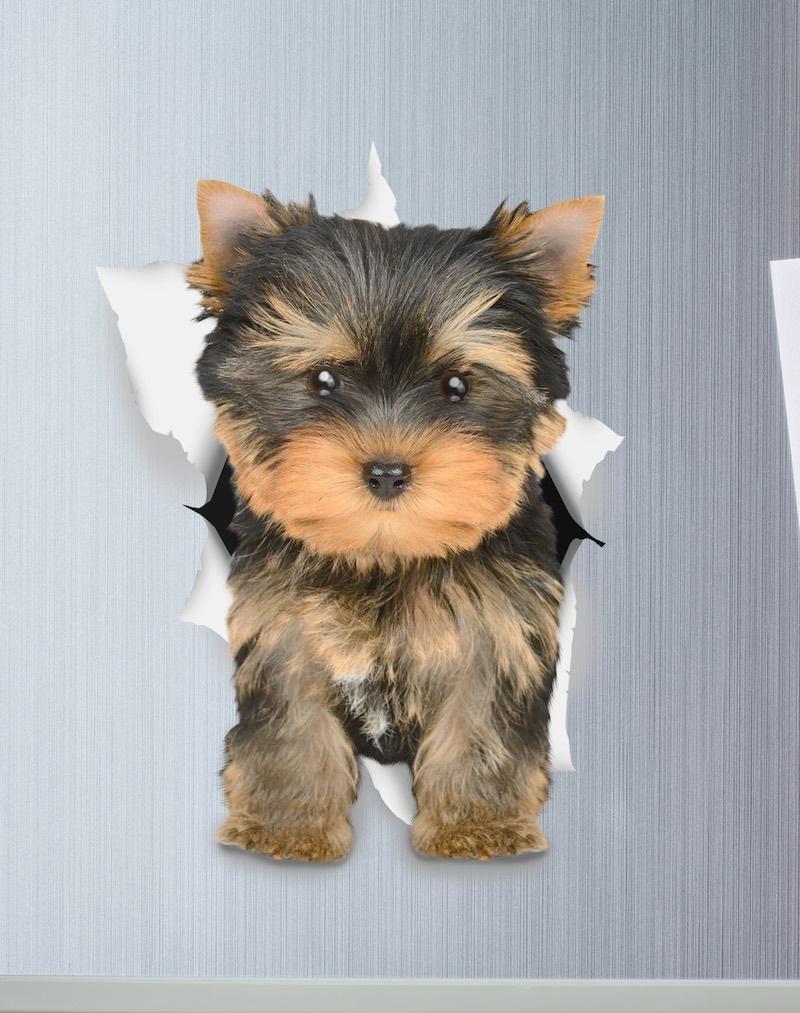 Adorable Yorkie Decals - Yorkshire Terrier