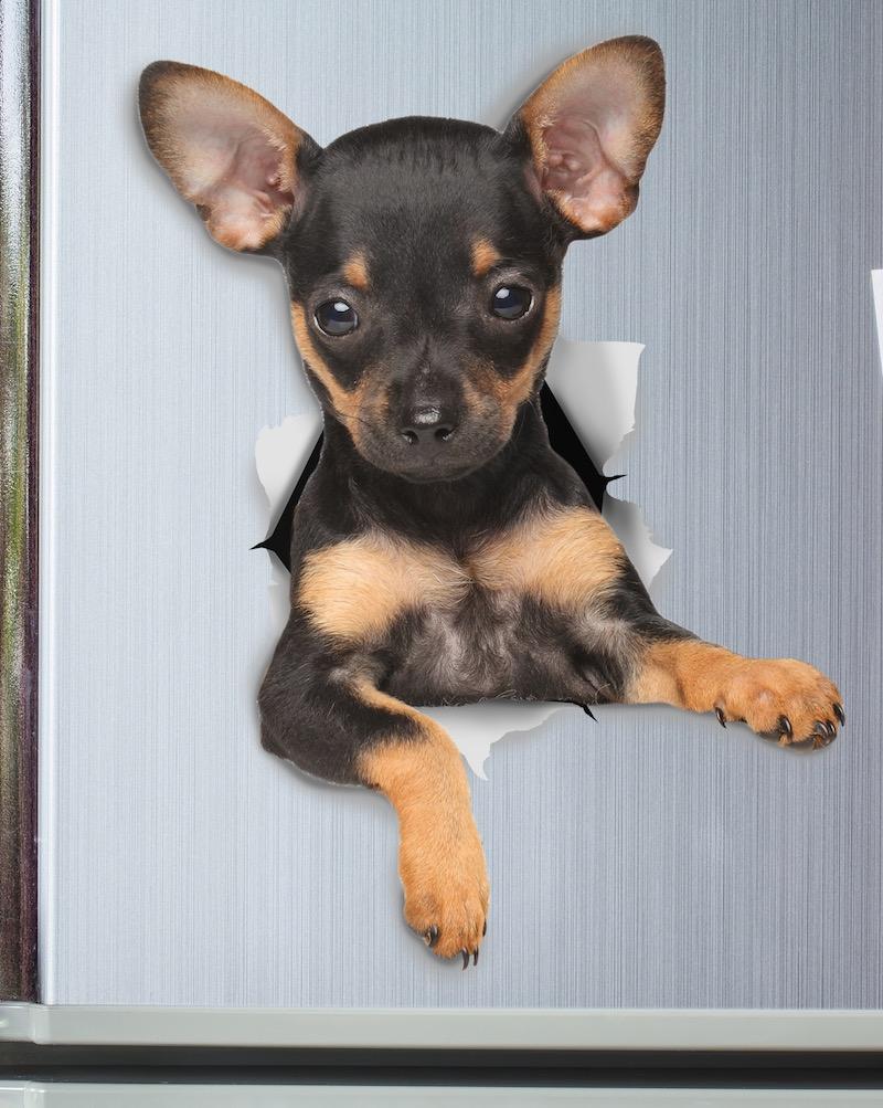 Toy Terrier Puppy Decals