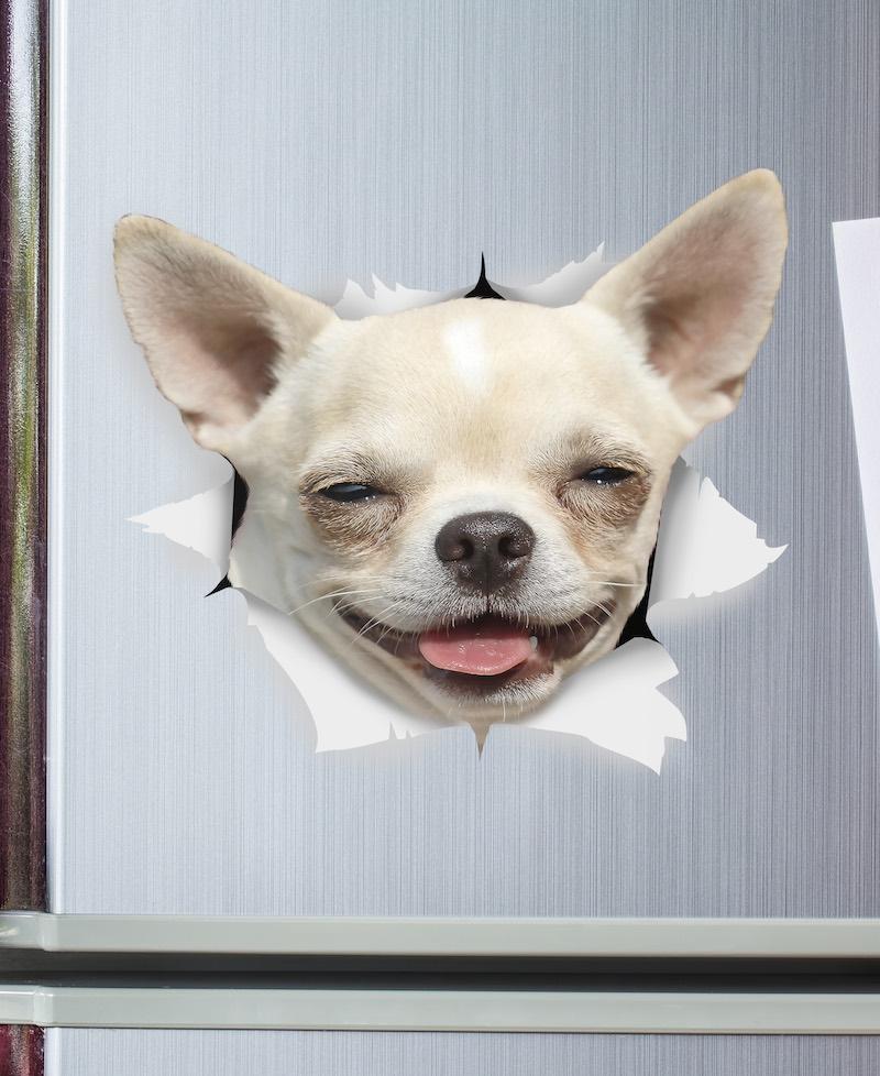 Happy Chihuahua Decals