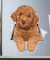 Red Poodle Decals