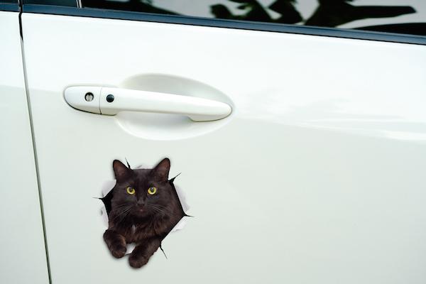 Resting Black Cat Decals