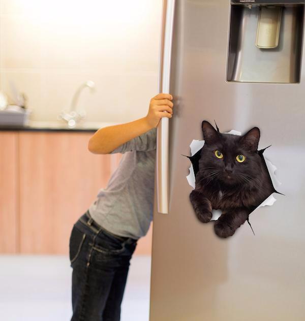 Resting Black Cat Decals