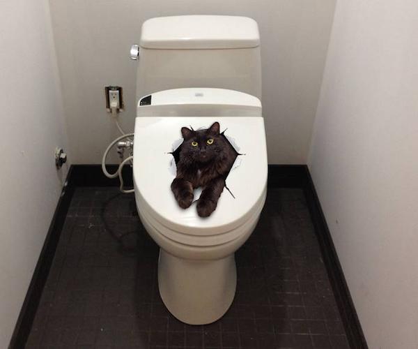 Resting Black Cat Decals