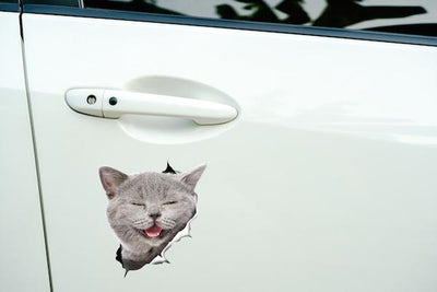 Laughing Grey Cat Decals
