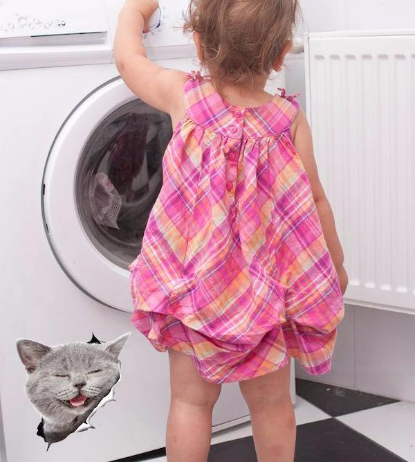 Laughing Grey Cat Decals