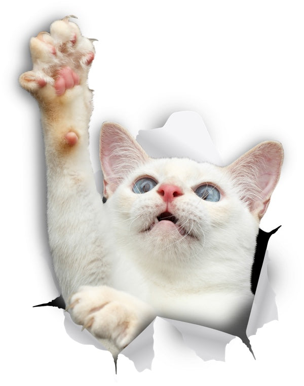 White Reaching Cat Decals