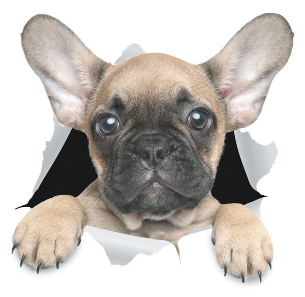 Brown French Bulldog Decals