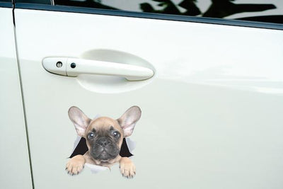 Brown French Bulldog Decals