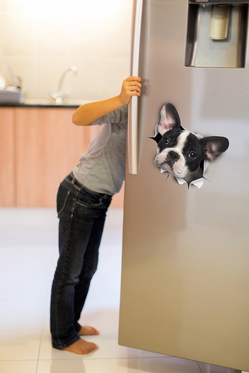 Black & White French Bulldog Decals