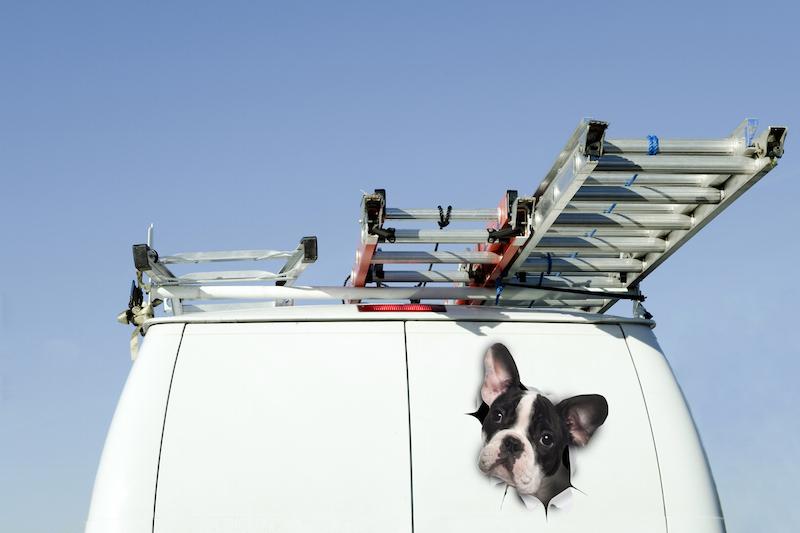 Black & White French Bulldog Decals