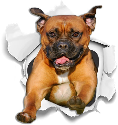 Super Staffie Decals