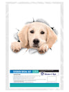 Peeking Labrador Decals