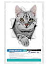 Grey Tabby Decals