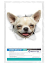 Happy Chihuahua Decals