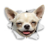 Happy Chihuahua Decals