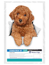 Red Poodle Decals