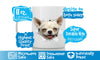 Happy Chihuahua Mug