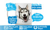 Happy Husky Mug