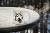 Happy Husky Mug
