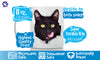 Hungry Black Cat Mug