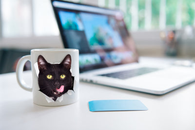 Hungry Black Cat Mug