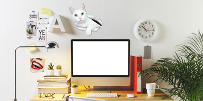 White Kitty Decals