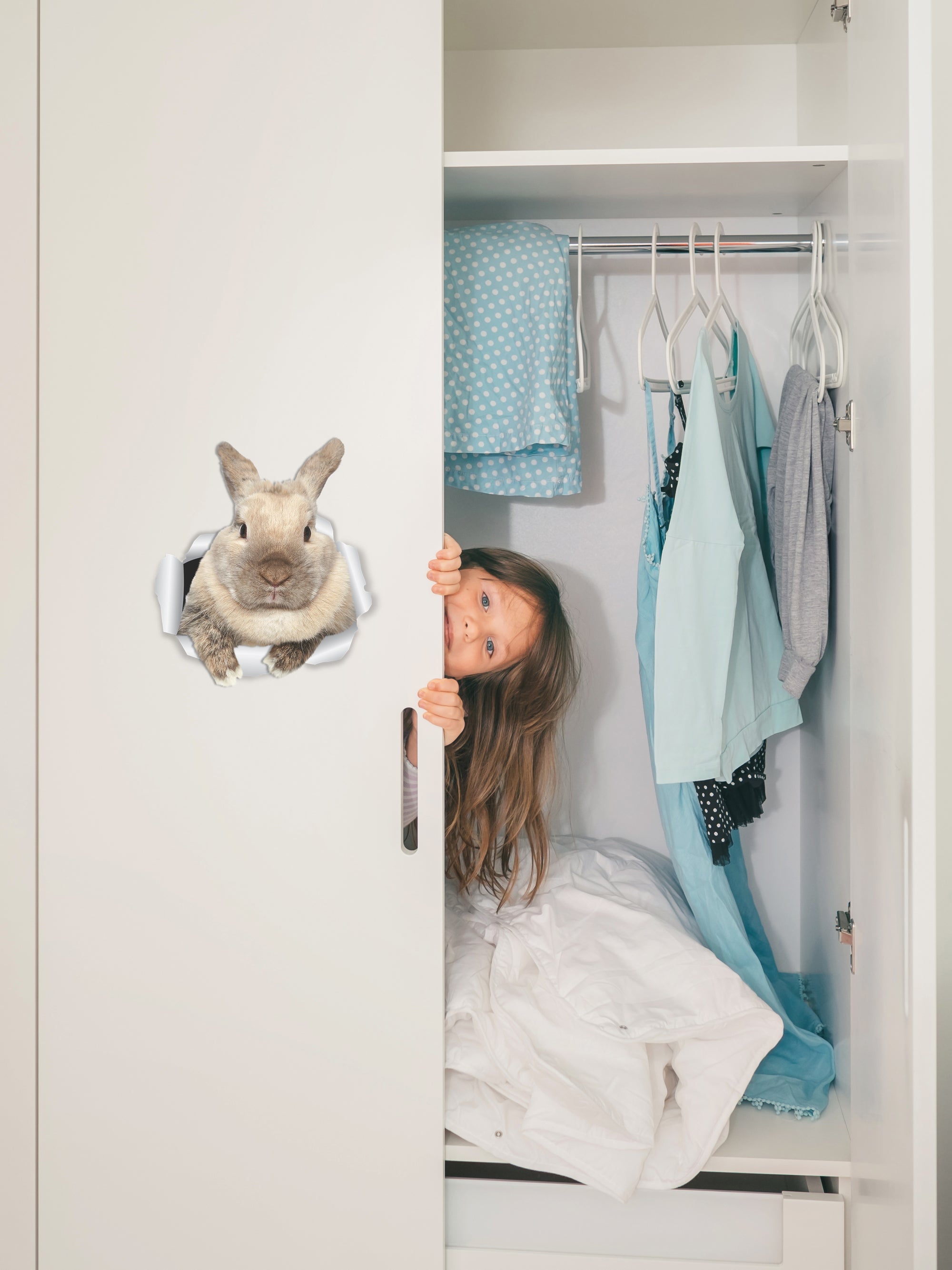 Rascally Rabbit Decals