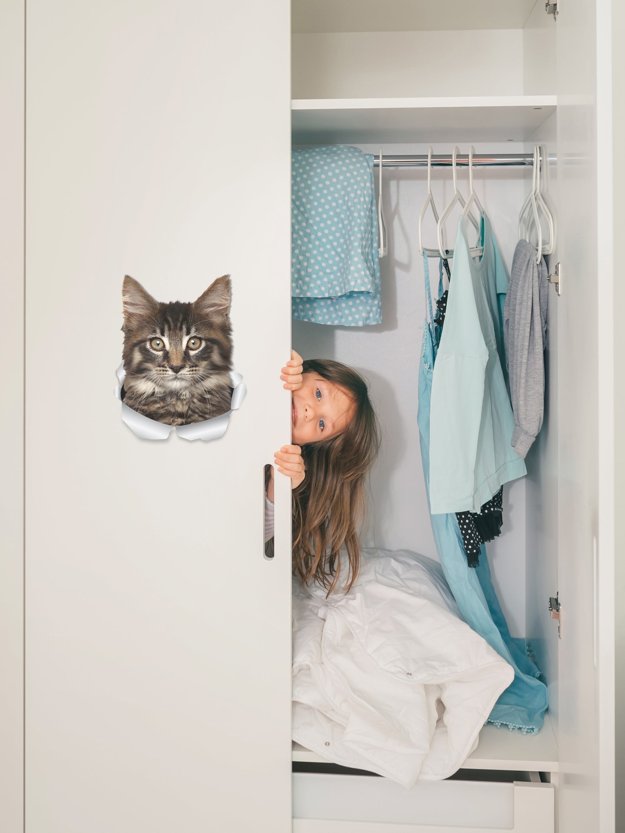 Maine-coon Decals