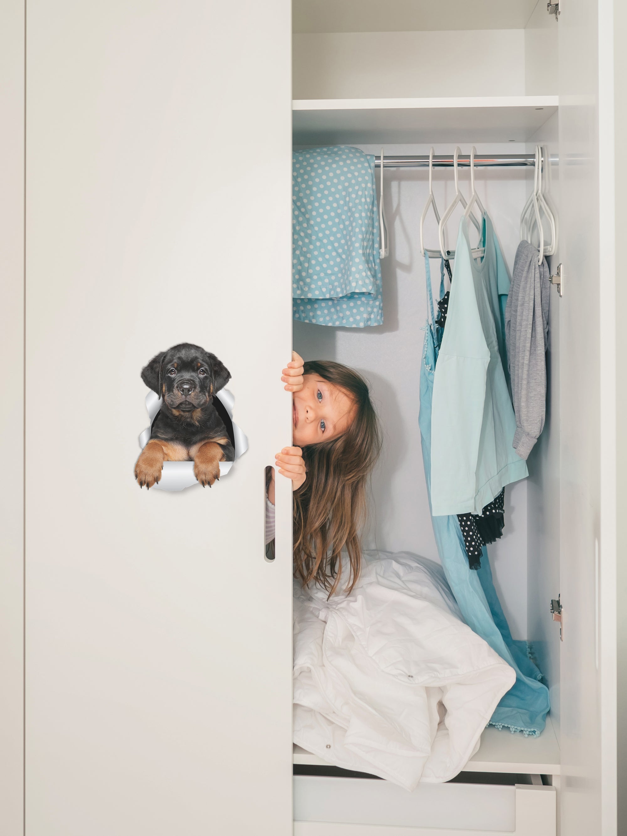 Rottweiler Puppy Decals