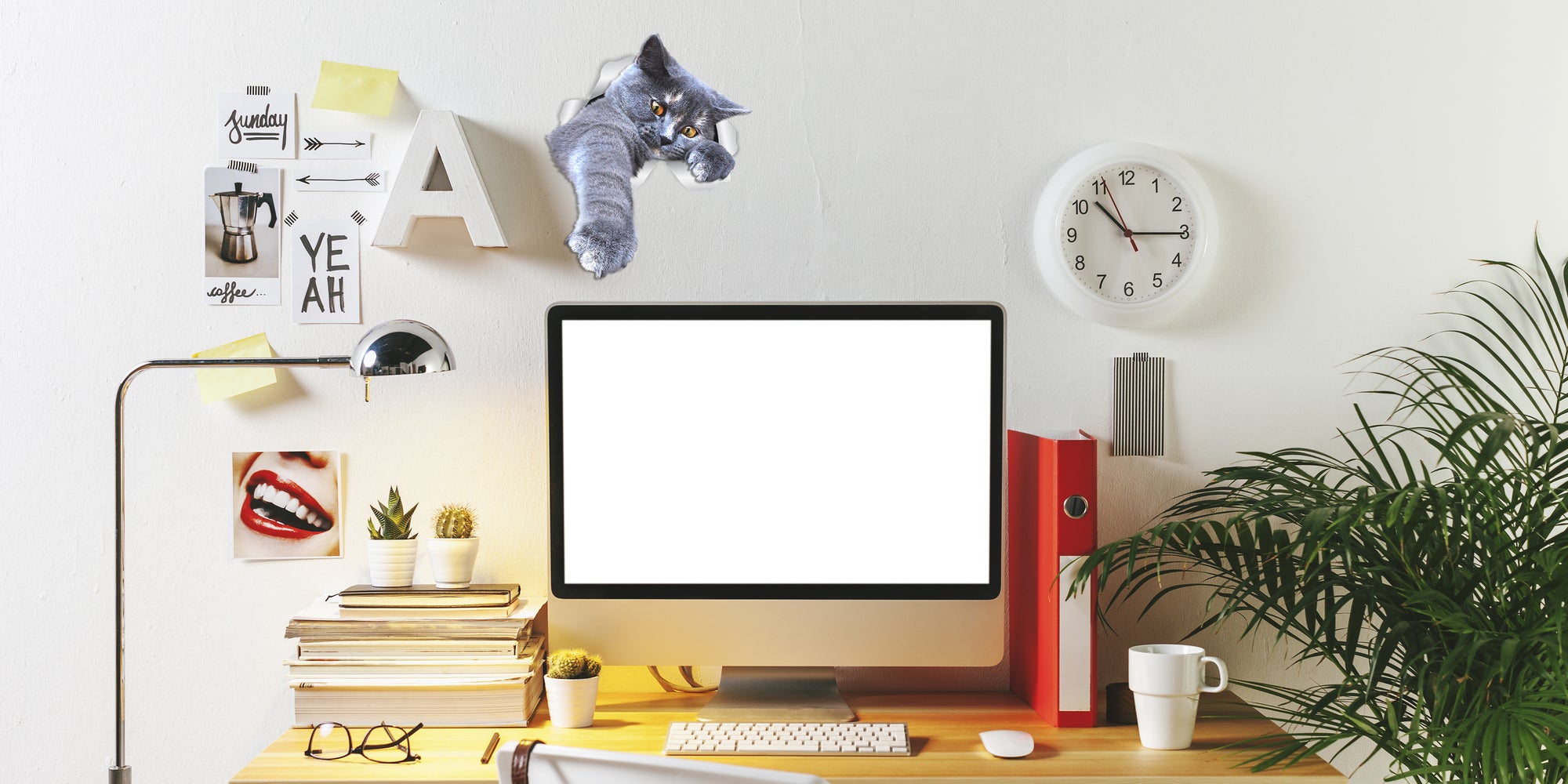 Playing Grey Cat Decals