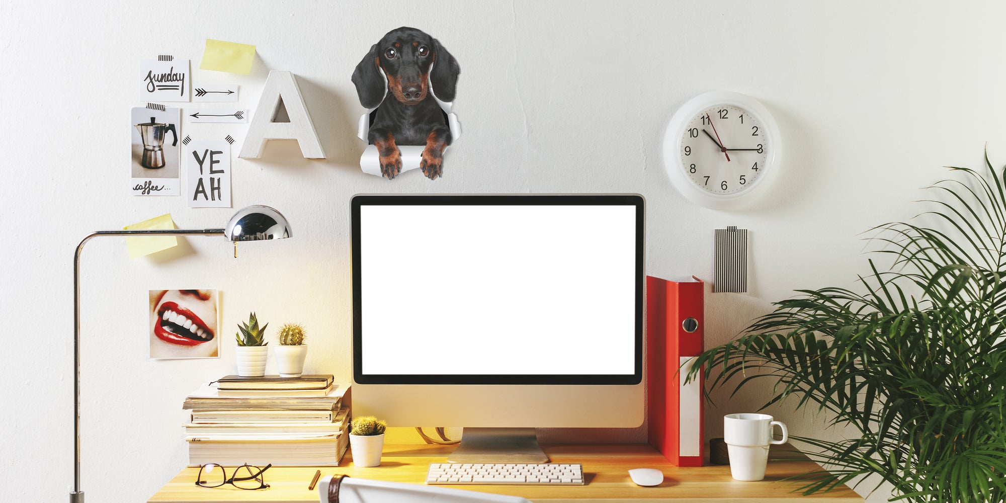 Cute Dachshund Decal..