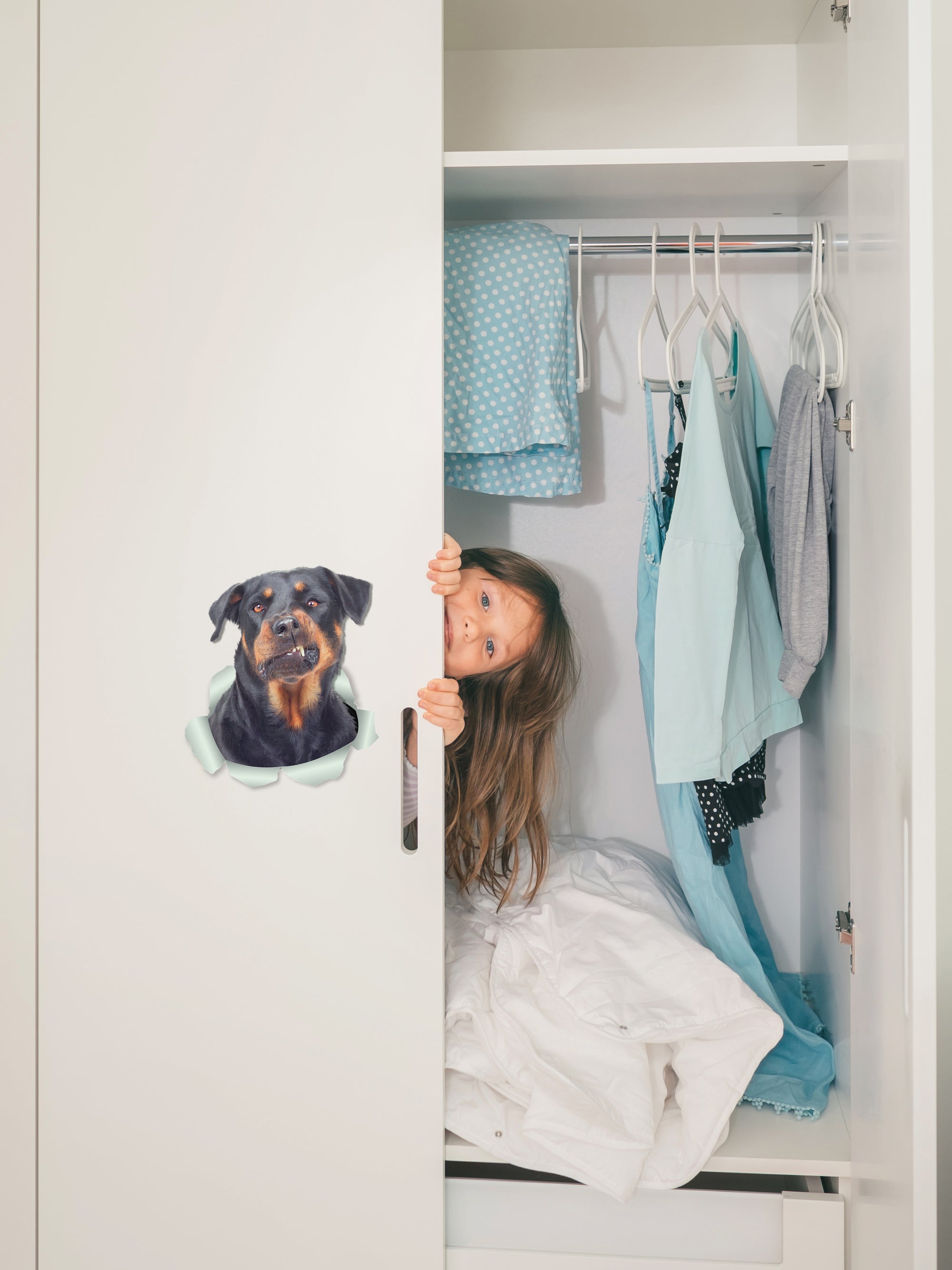 Funny Rottweiler Decals