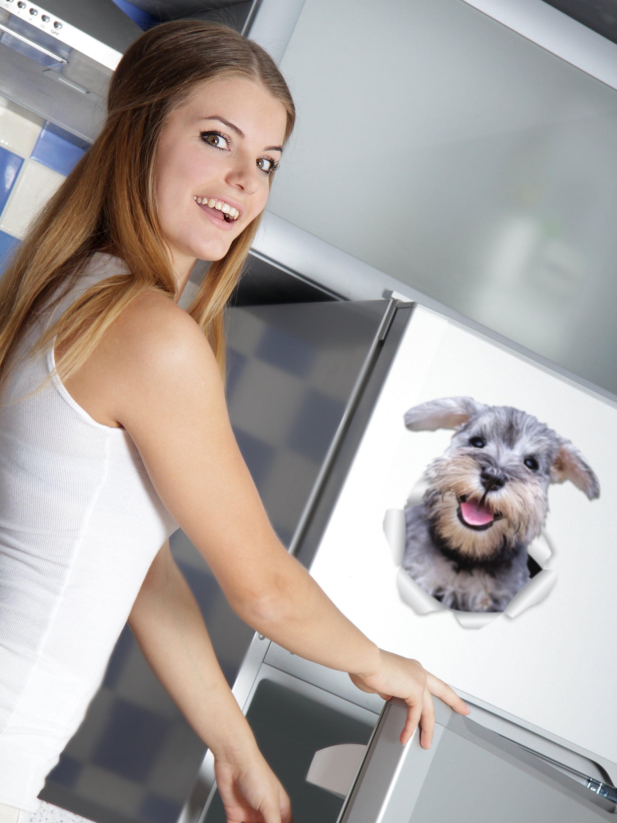 Smiling Schnauzer Decals