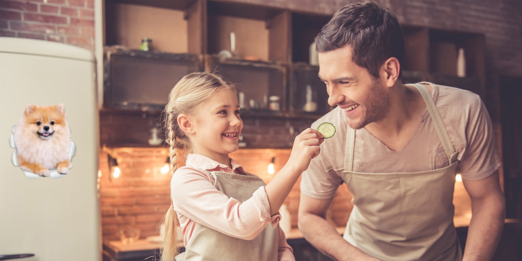 Puffy Pomeranian Decals