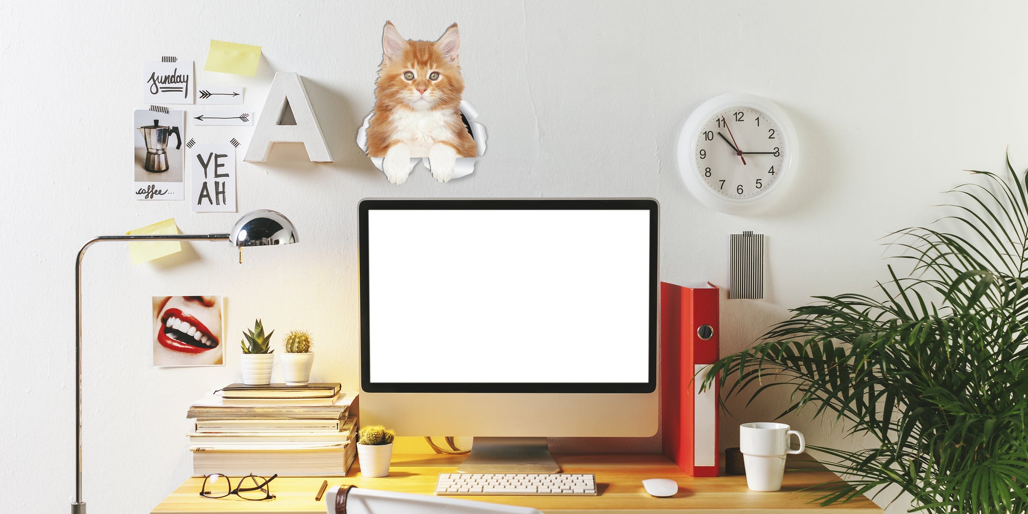 Cute Ginger Kitty Decals