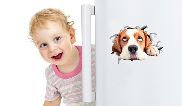 Hopeful Beagle Decals