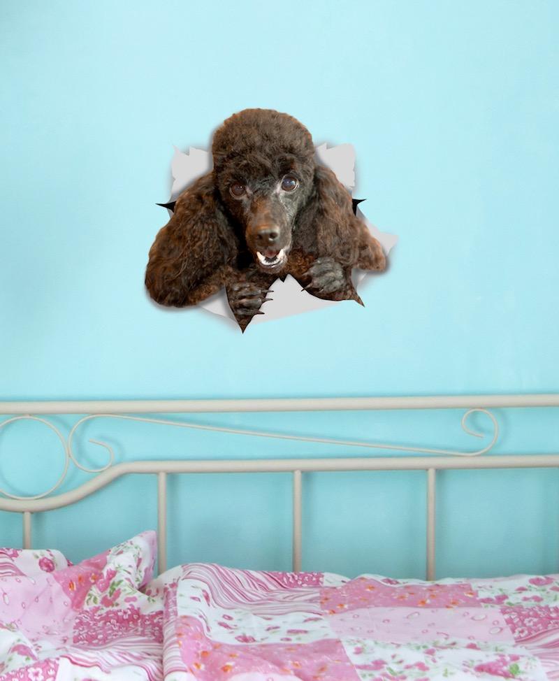 Happy Black Poodle Decals