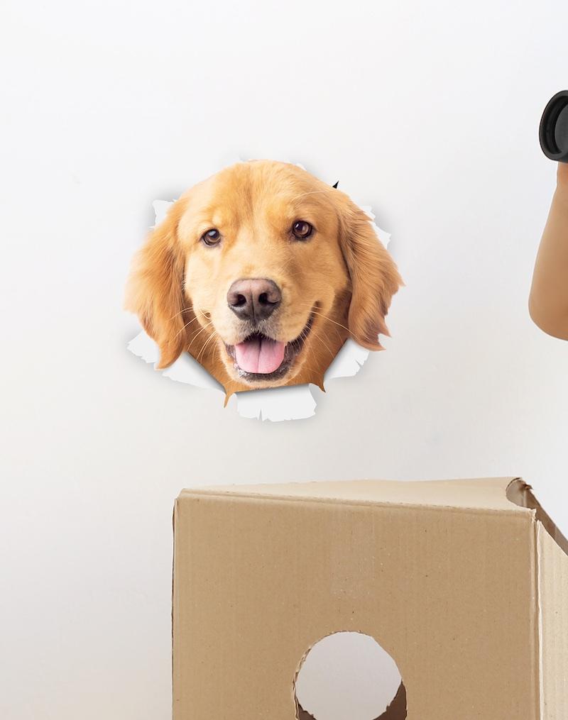 Happy Golden Retriever Decals