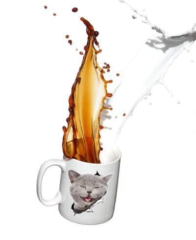 Laughing Grey Cat Mug
