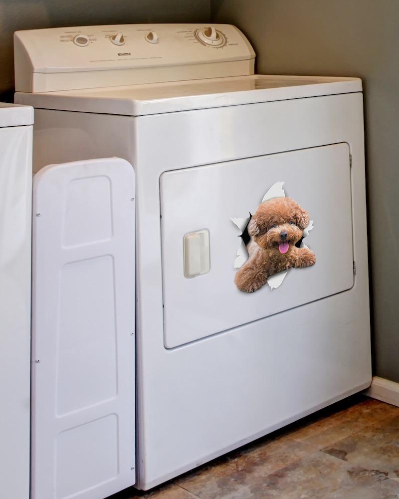 Smiling Brown Poodle Decals